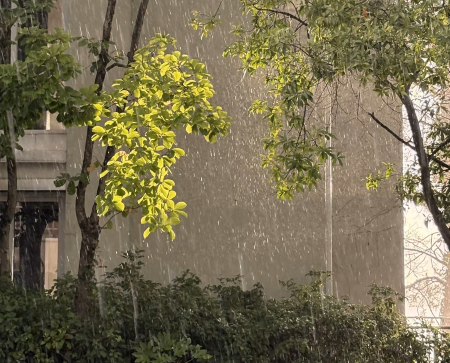 9430cf5d-4d7c-4877-ac65-f4a37cdcca4a